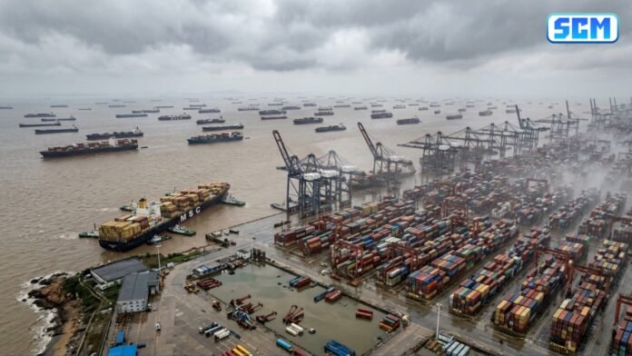 Typhoon Dolphin China port congestion 2026